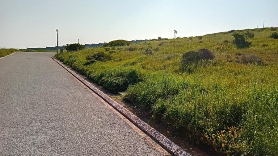 0 Bedroom Property for Sale in Hoogland Western Cape